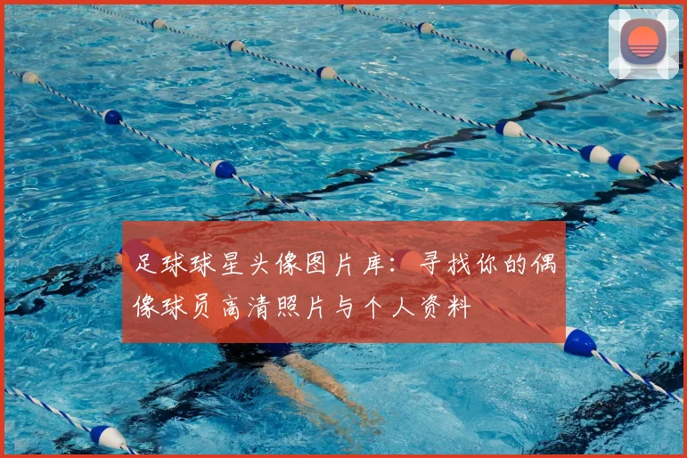 足球球星头像图片库：寻找你的偶像球员高清照片与个人资料