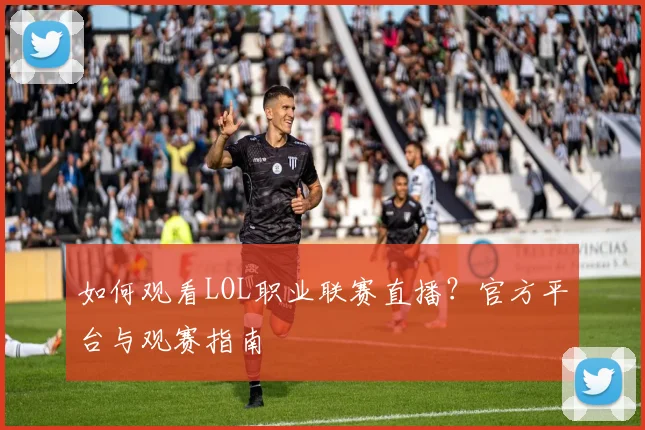 如何观看LOL职业联赛直播？官方平台与观赛指南